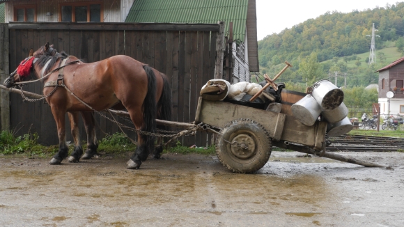 Karpatenbild 13
